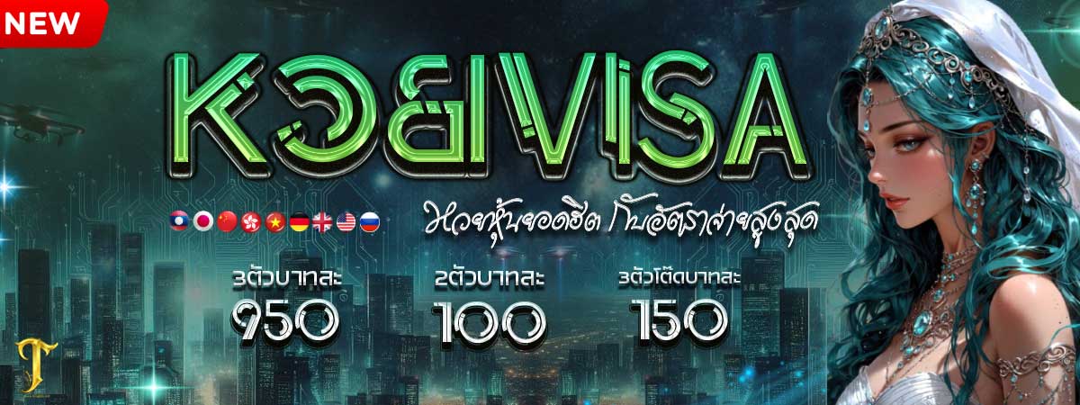 ปกvisa ปกvisa